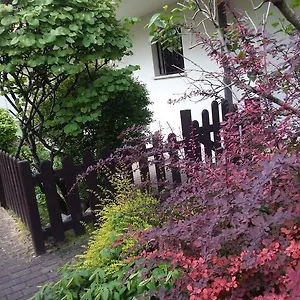  Appartement Ground Floor,top Level